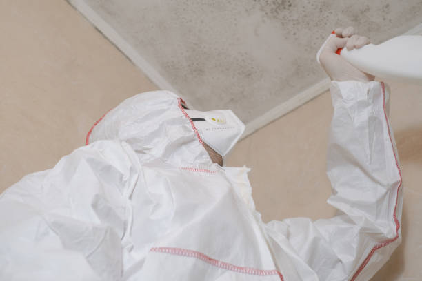 Professional Mold Removal in Bennington, NE