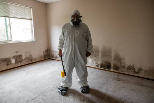 Water Damage Restoration in Bennington, NE